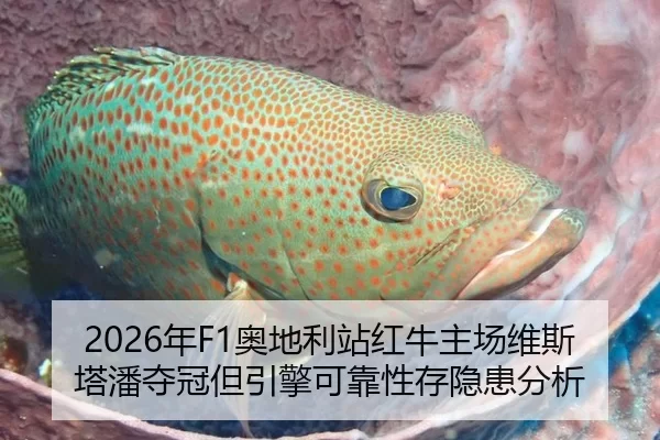 2026年F1奥地利站红牛主场维斯塔潘夺冠但引擎可靠性存隐患分析
